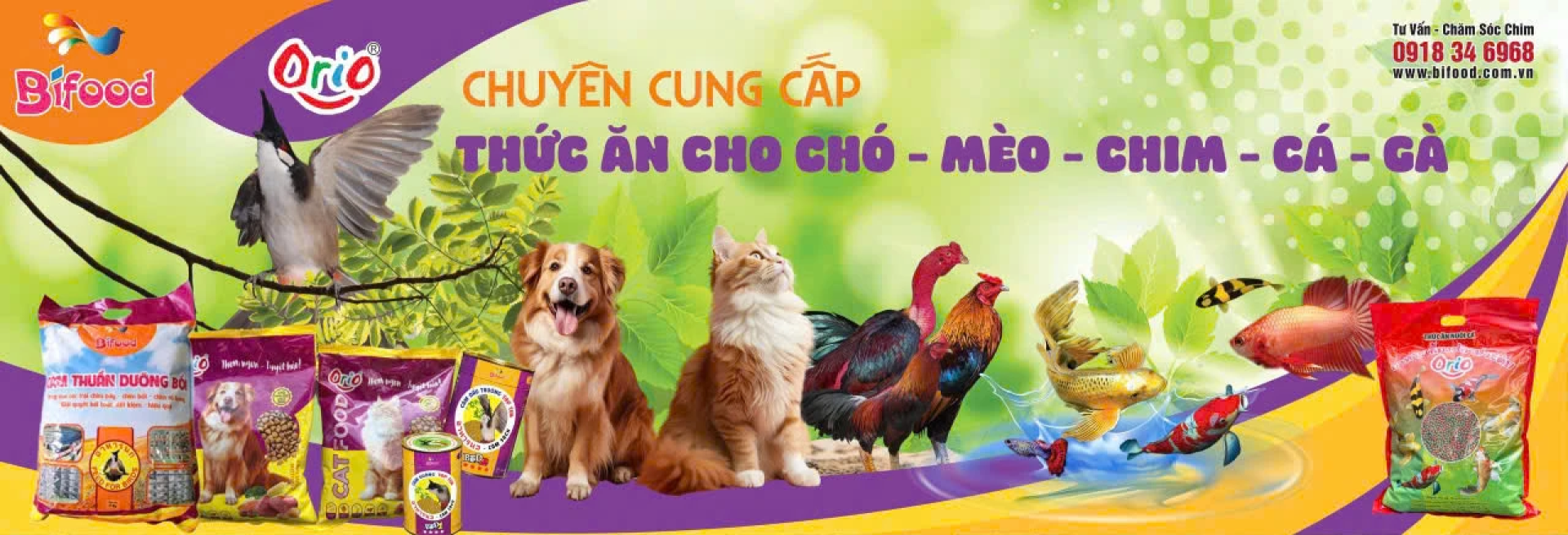 banner chinh