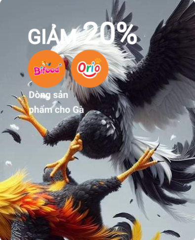Thuốc Om Bóp & Vô Nghệ