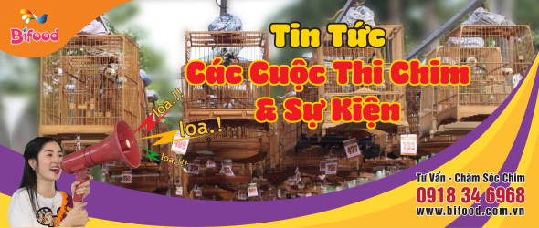 Thuốc Om Bóp & Vô Nghệ