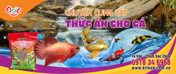 Thức Ăn Cá Cảnh Orio – Dinh Dưỡng Cho Cá Khỏe, Lên Màu Đẹp